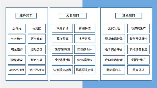 平原縣可行性分析報(bào)告項(xiàng)目立項(xiàng)