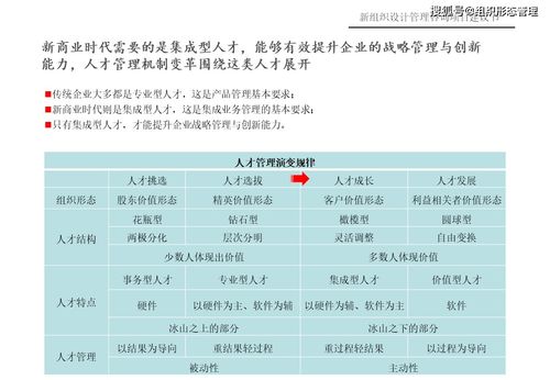 新組織設計管理咨詢項目建議書