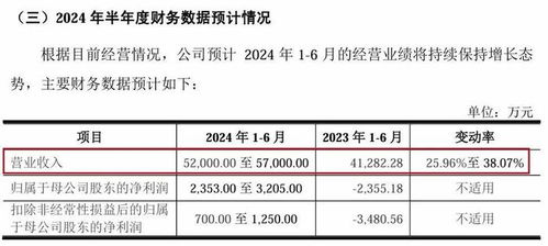 ipo再跨一步,海康威視的 兄弟 穩(wěn)了嗎