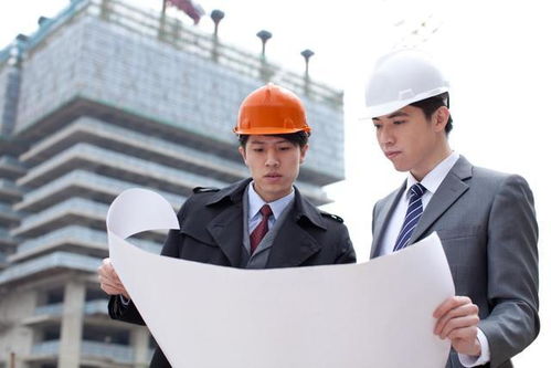 解析bim在工程咨詢造價中的運用研究