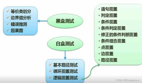 軟件工程 軟件測試 mccabe復雜度 cmmi和項目管理