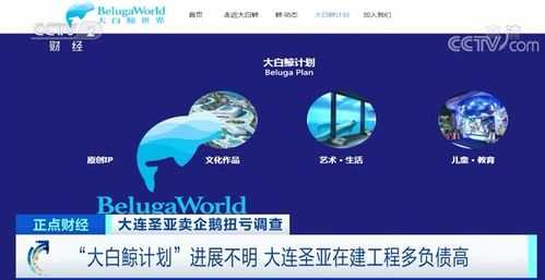 靠52只企鵝收入2200萬 這家上市公司遭監管問詢