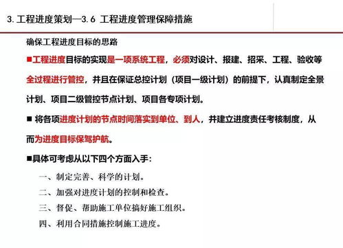 項目 工程管理實際案例分析ppt