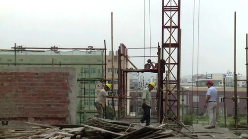 廣德牧泰萊廠房主體已建設完成