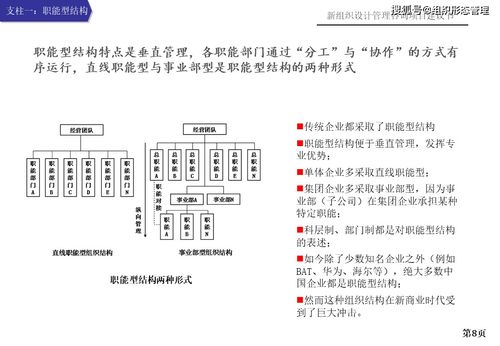 新組織設計管理咨詢項目建議書