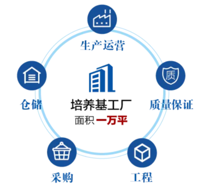 上海倍錦生物科技建設進入沖刺階段