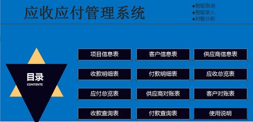 98年美女會計編制的應收應付管理系統(tǒng),真牛啊