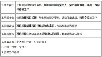 2020咨詢師知識點 項目評估質量控制